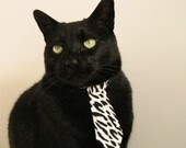 开云体育入口-证明之战，西亚卡姆独挑大梁，率队击溃活塞