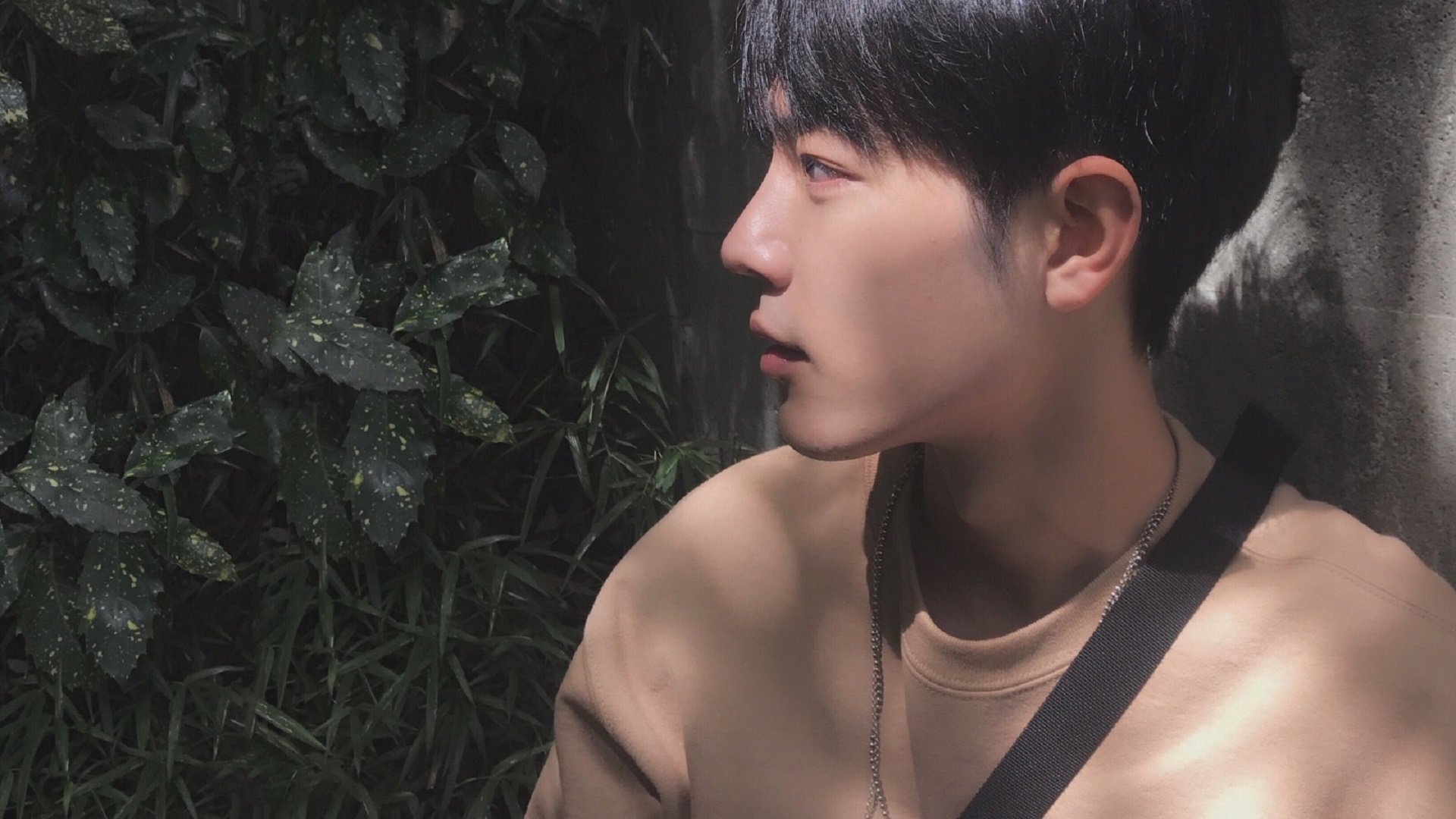 阿坎吉的木马，希腊军团今夜收割巴黎