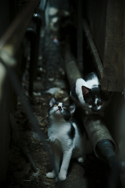 欧冠夜的血拼，恩昆库世界级表现接管比赛，莱比锡红牛力克拉齐奥撼动排名格局