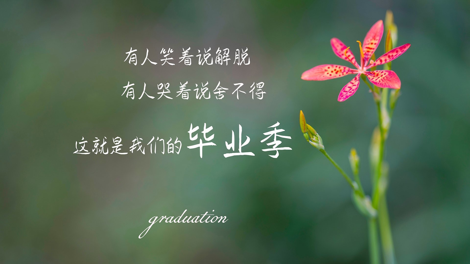 破次元壁之战，当威尔士红龙遇见黄色潜水艇，特奥如何统治攻防两端