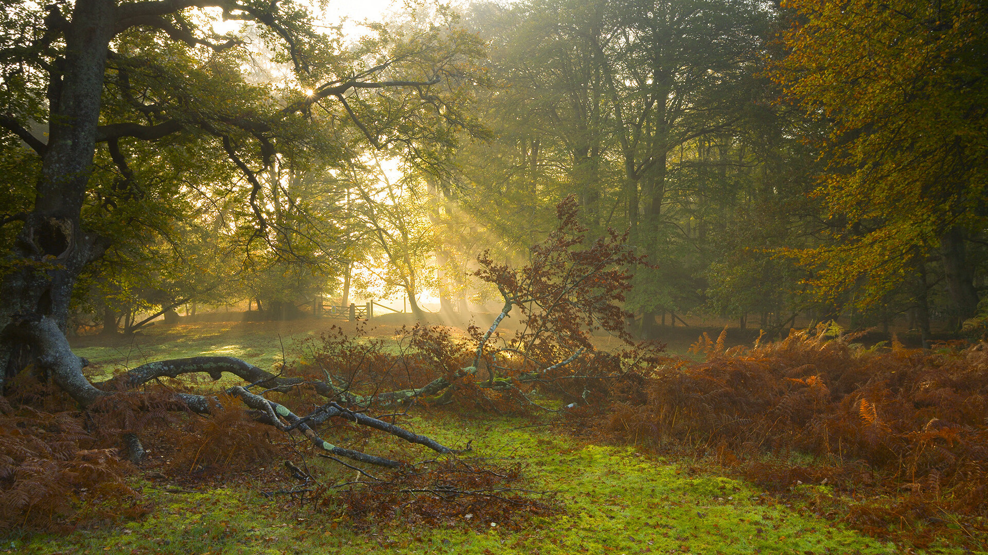 范戴克穿越时空?南非神秘力量全面压制多特蒙德,利物浦铁卫竟在NBA总决赛接管比赛