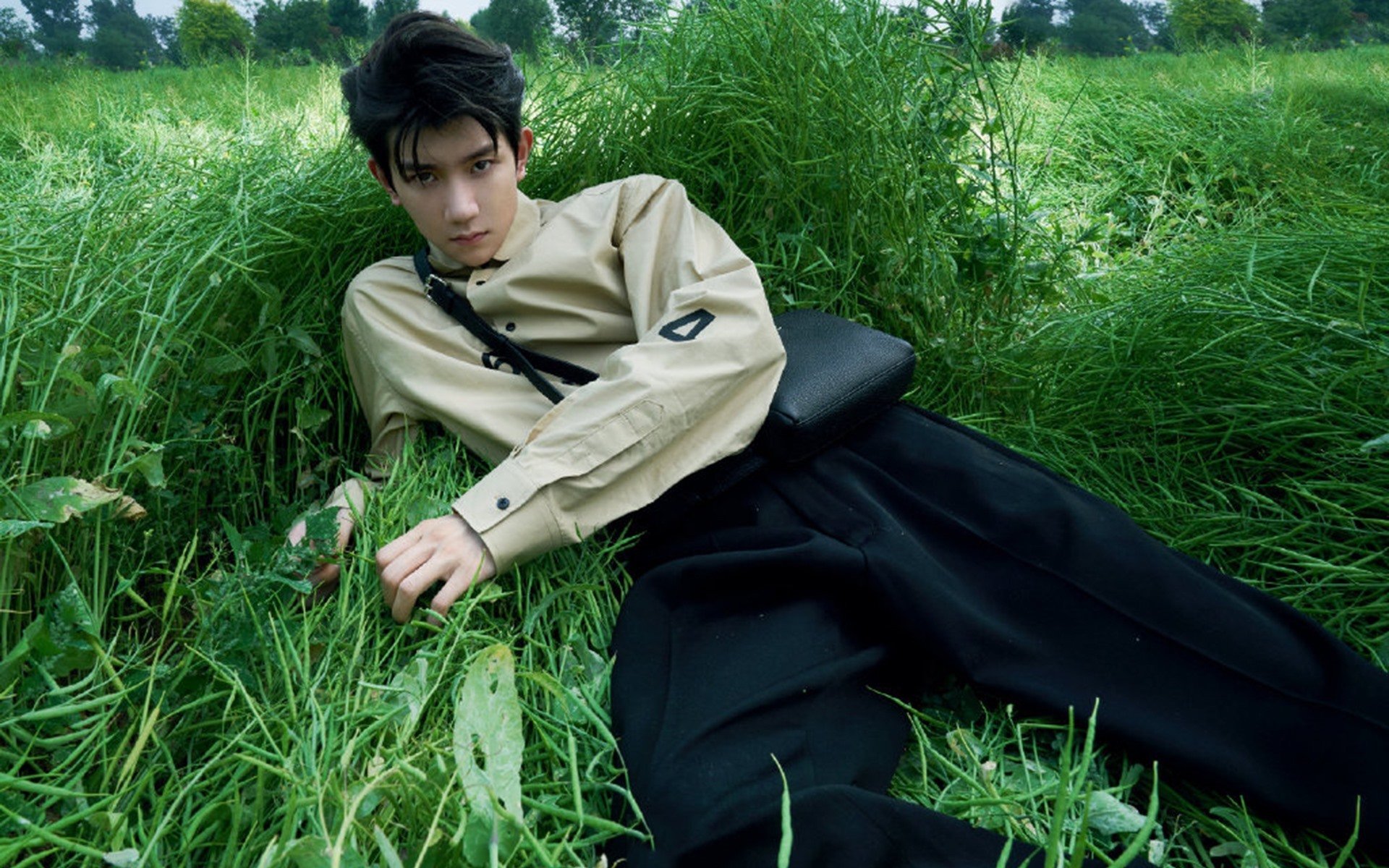 跨越时空的赛场主宰，欧冠新王与绿衫军浪潮的双重奏