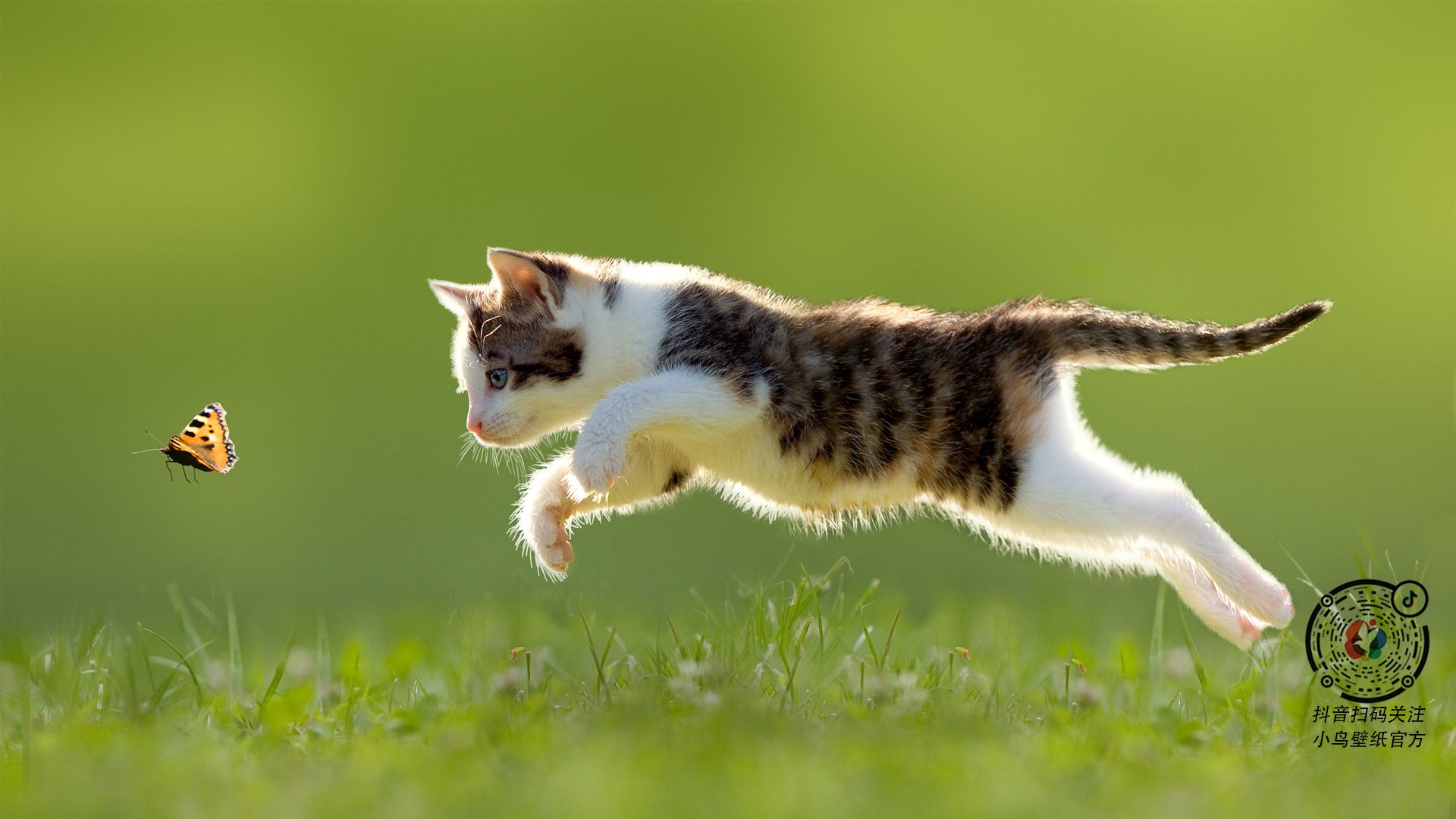 一场进化之战，当哈兰德刺穿心魔，米兰重铸意甲铁壁