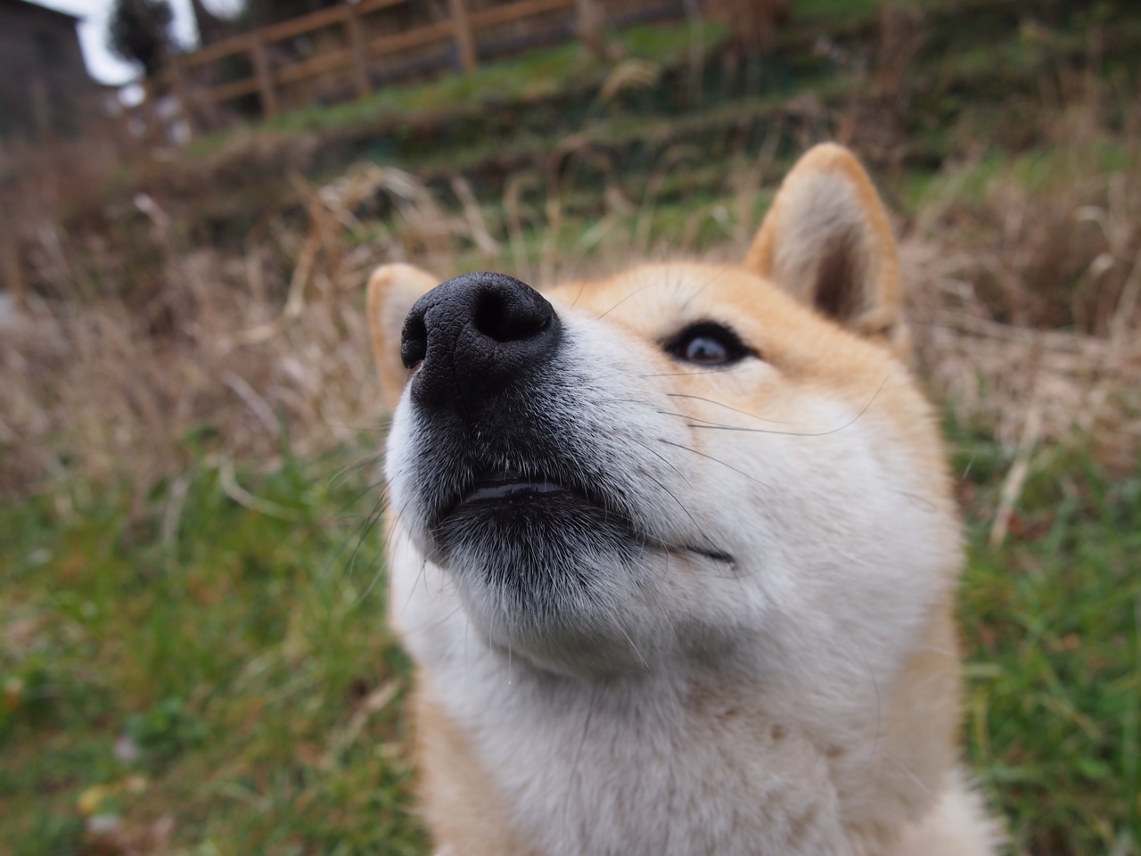 开云体育中国-跨界裁决，当卡塞米罗在双重赛场写下传奇