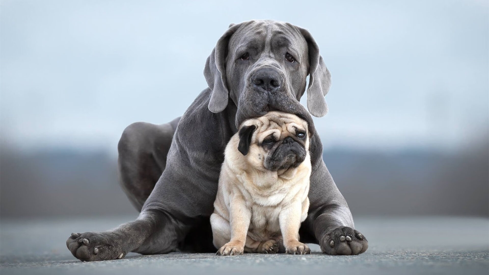 巴拉圭掀翻法国，阿尔瓦雷斯的生涯之夜与一个国家的足球寓言