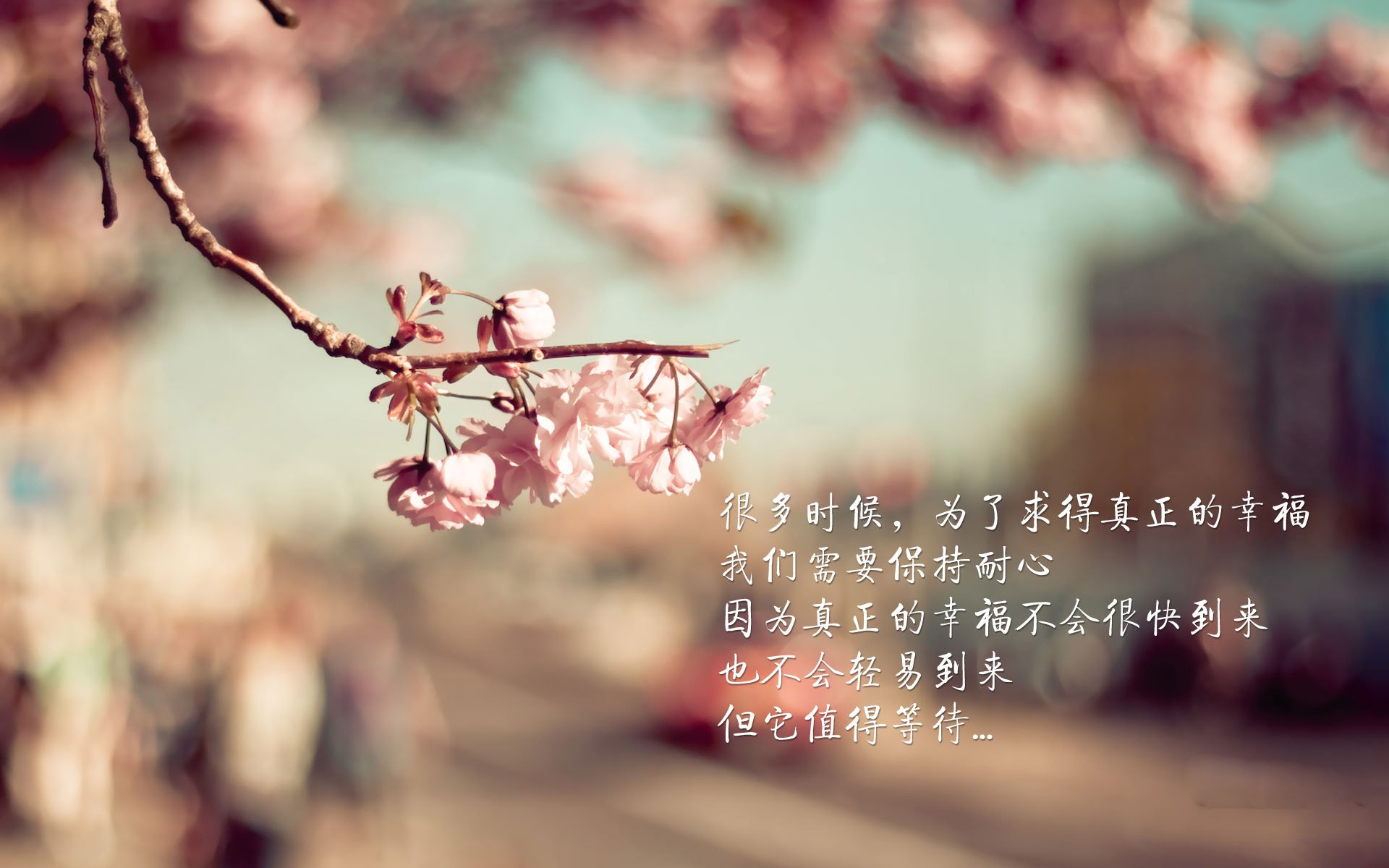 唯一的光照向F组，美国破智利之夜，萨内如何定义不可复制
