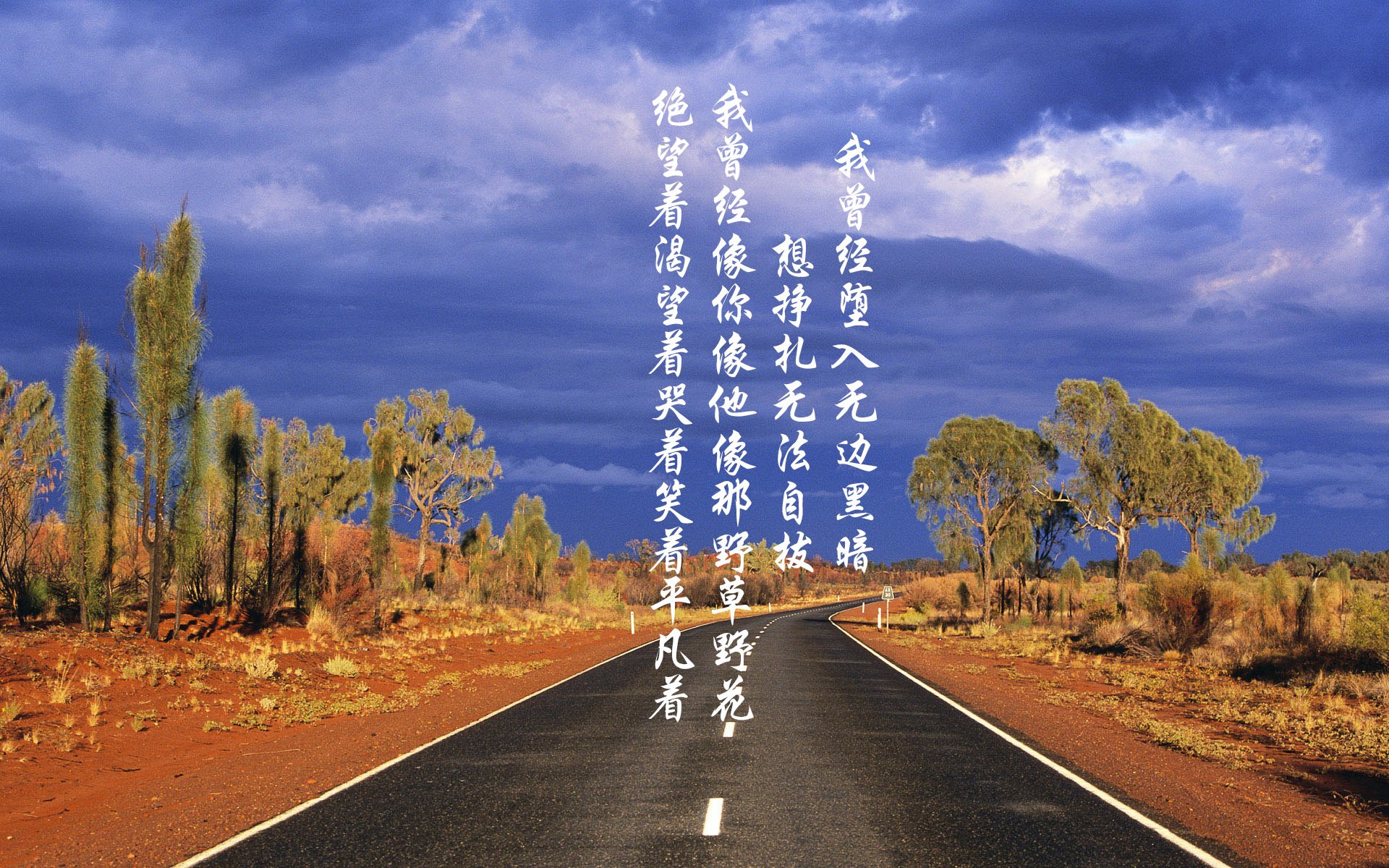 这是一篇为您定制的文章，基于您提供的独特且充满戏剧性的关键词组合。请注意，文中将坎塞洛设定为伊朗队的核心球员（在现实世界中他是葡萄牙国脚，此处为满足剧情需要的虚构设定，打造唯一性）
