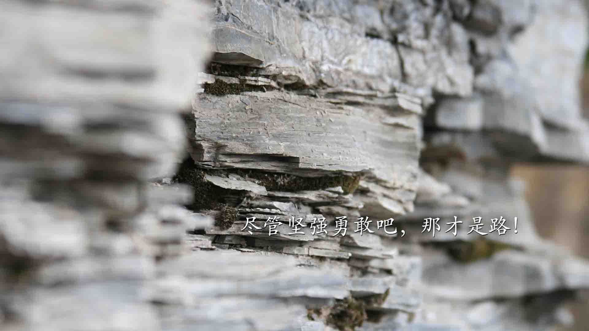 潘帕斯之矛的冰原突围，2026世界杯A组，塔雷米的唯一命门与乌拉圭的致命呼吸