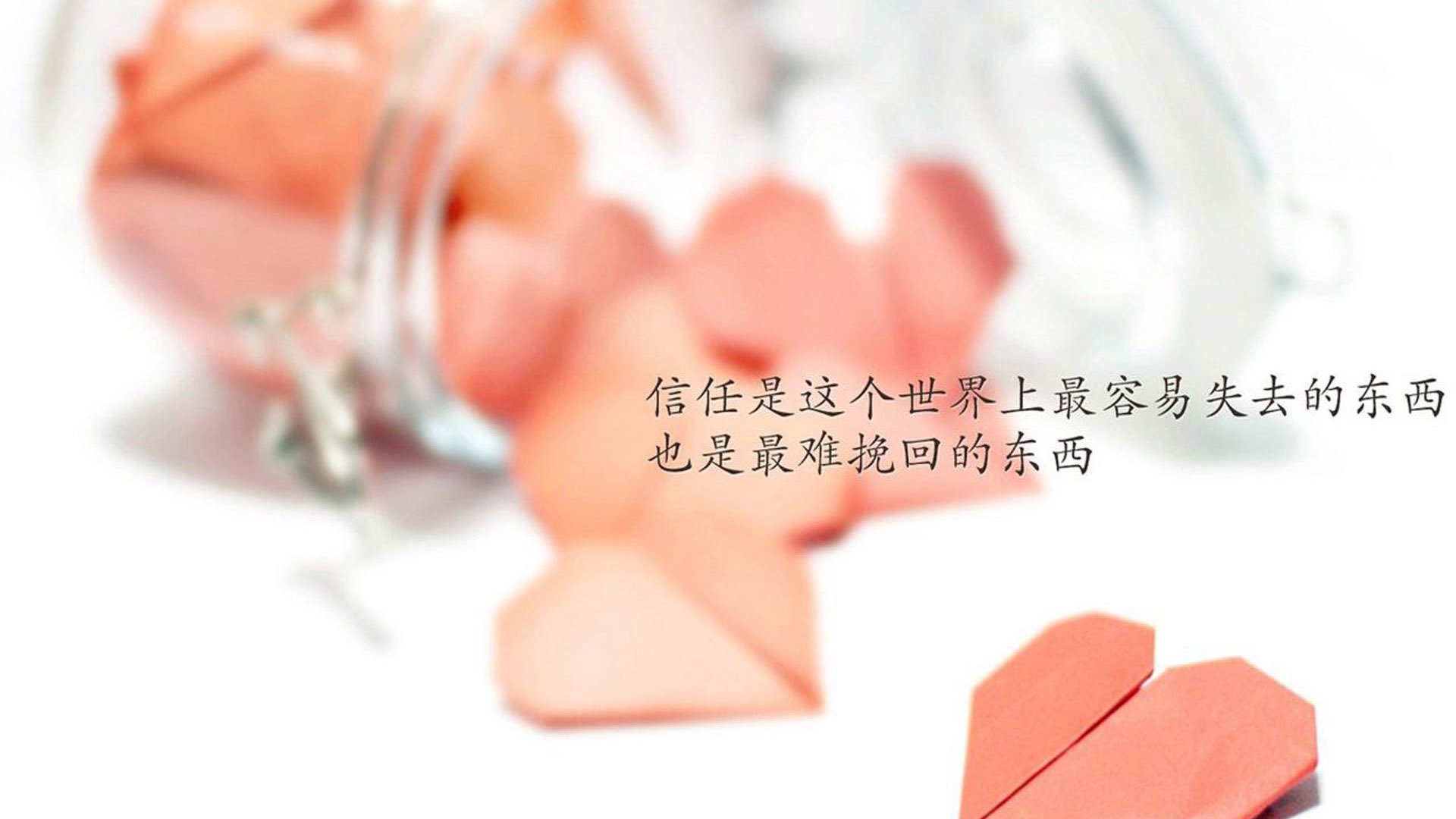 南太平洋风暴席卷安联,范戴克的头球与澳大利亚的控球革命,如何在2026世界杯C组绝杀德国战车