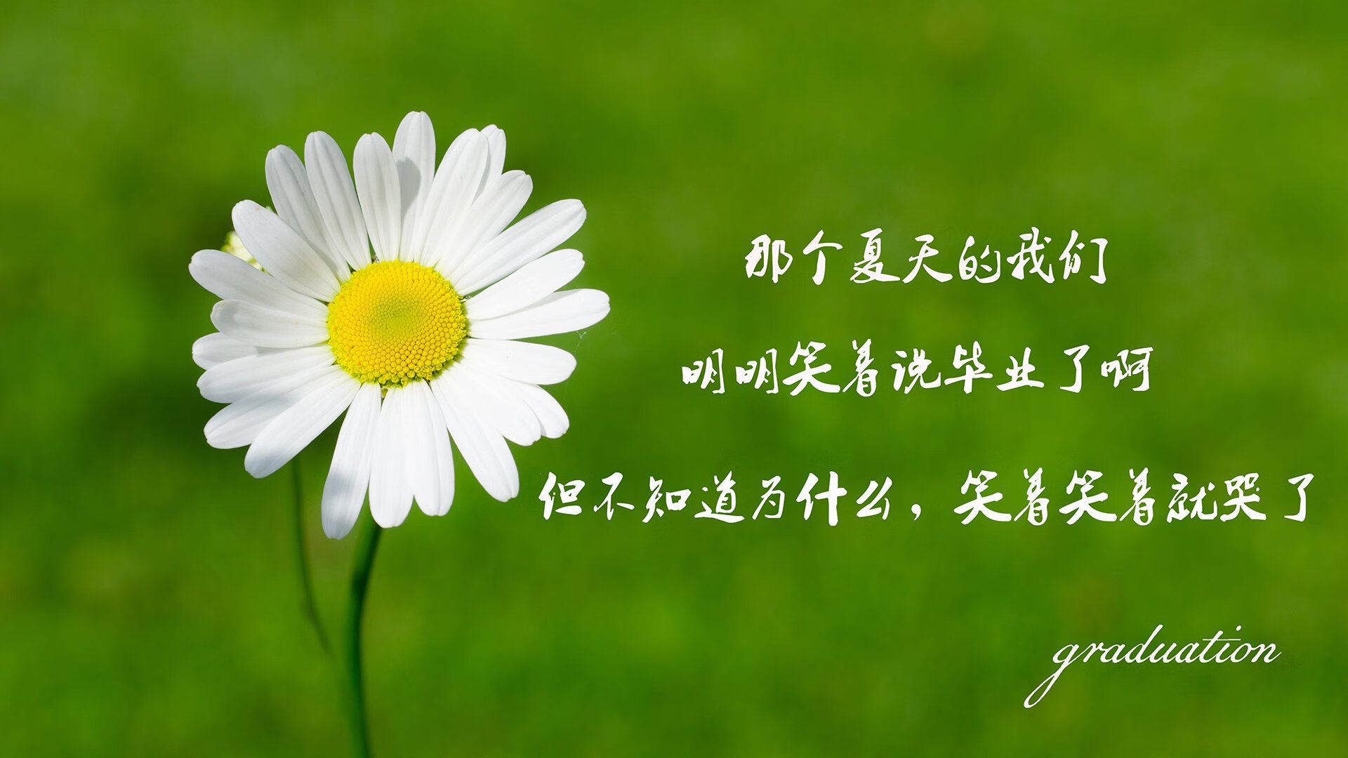 宿命的红牌,当阿方索·戴维斯用一己之力撕裂高卢雄鸡,却将加纳推入深渊