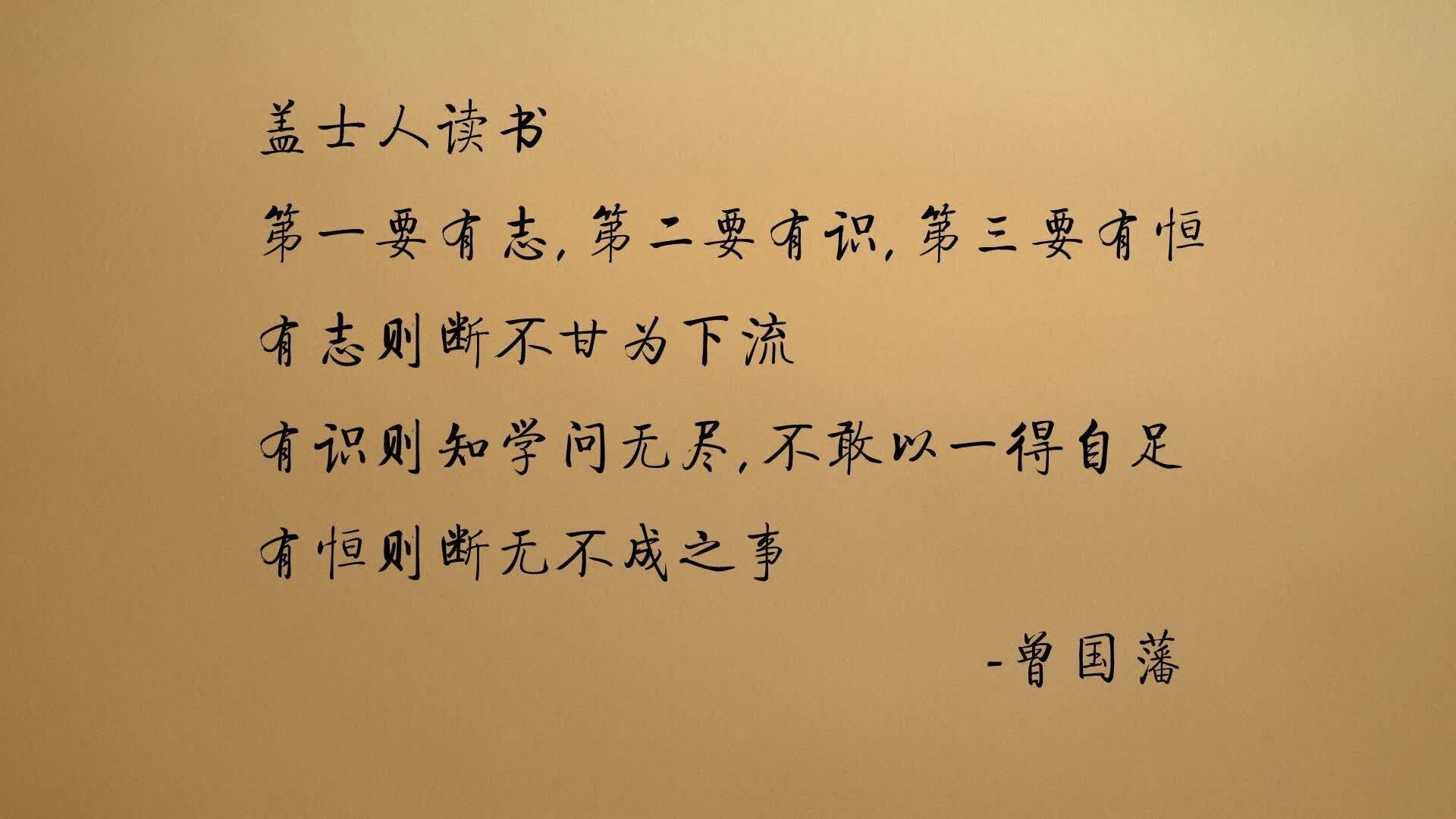 2026世界杯复仇之战,意大利中场铁幕横扫印度,B费独木难支却闪耀全场