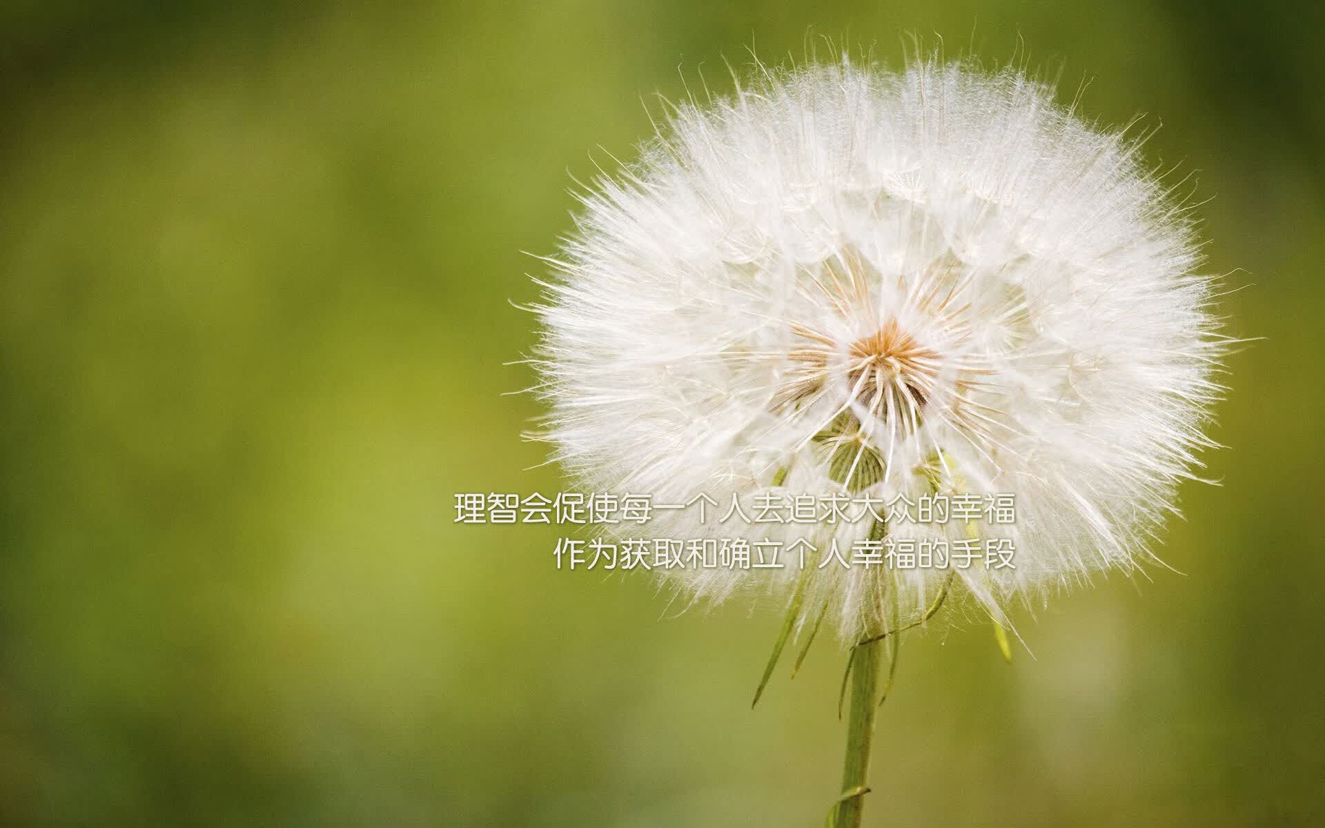 (扩展思维)