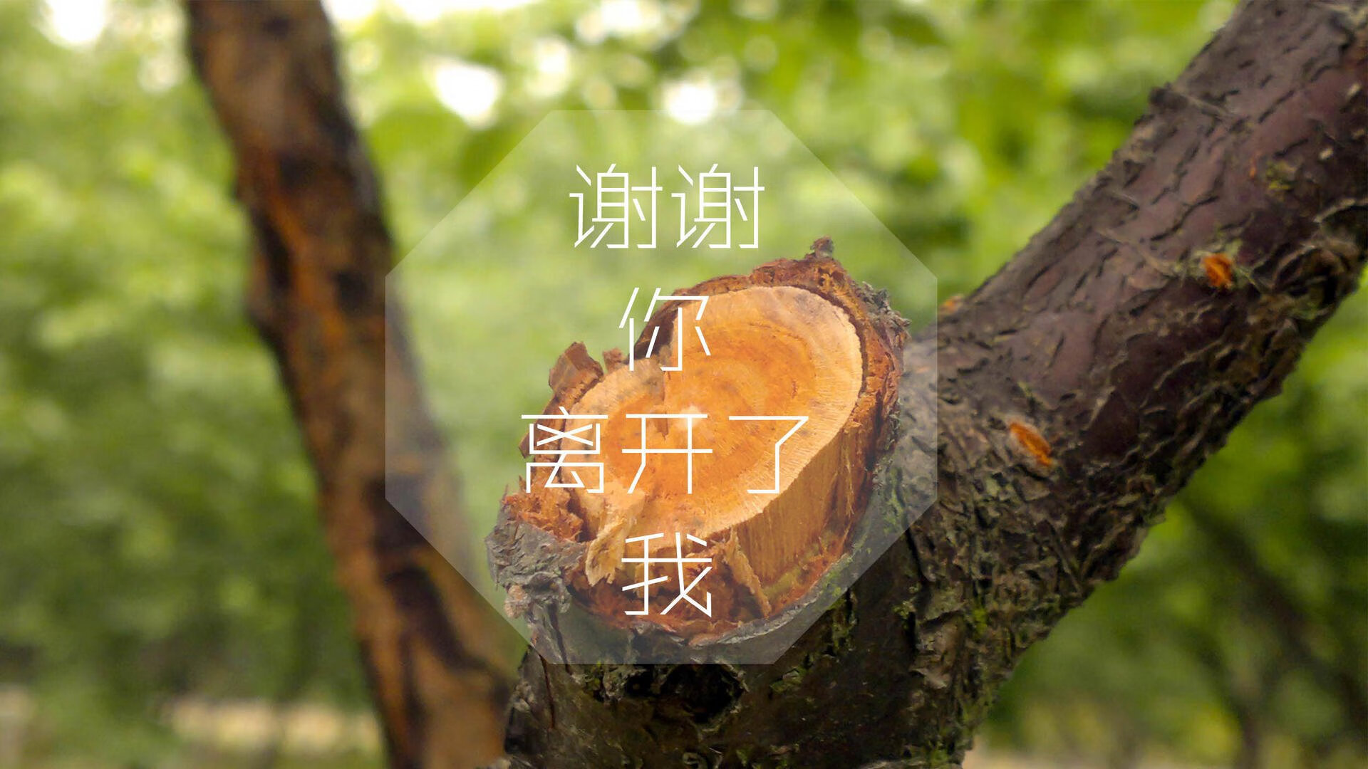 蓝衣悲歌，高卢奇迹，那个被命运归化的9号，在2026世界杯H组写下了最违和也最致命的剧本